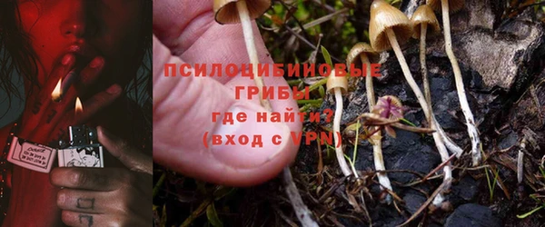 бутират Алзамай
