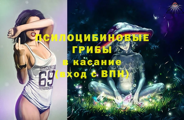 бутират Алзамай