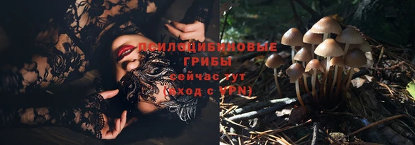 бутират Алзамай